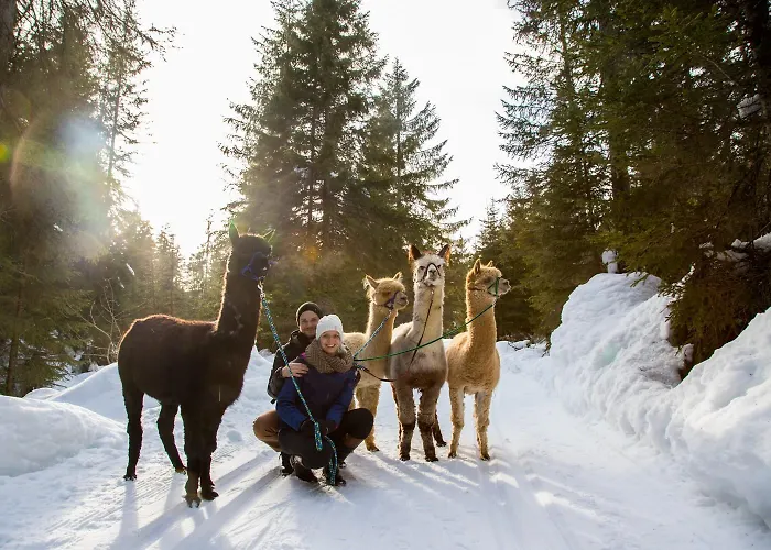 Mirador Seefeld in Tirol