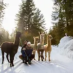 Mirador Seefeld in Tirol